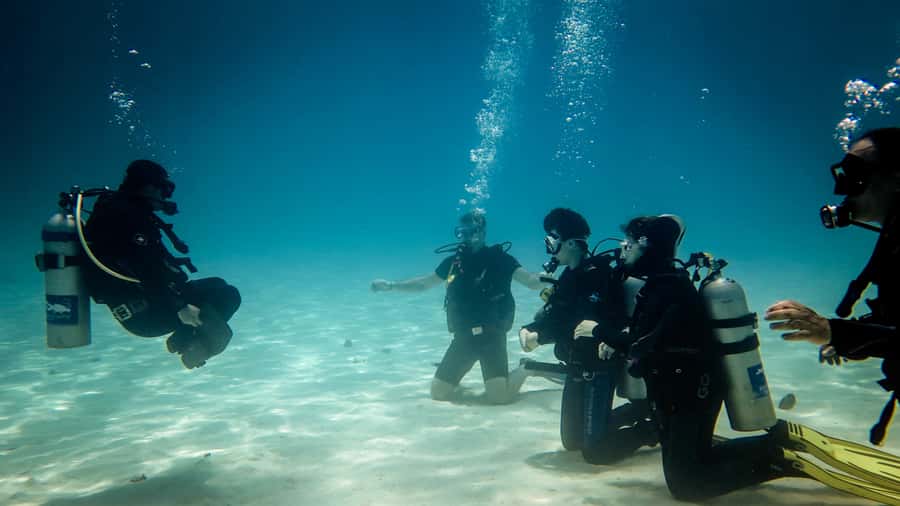Hurghada: 3-Day PADI Open Water Diving Course - Instructors and safety: why the best part is often the human factor