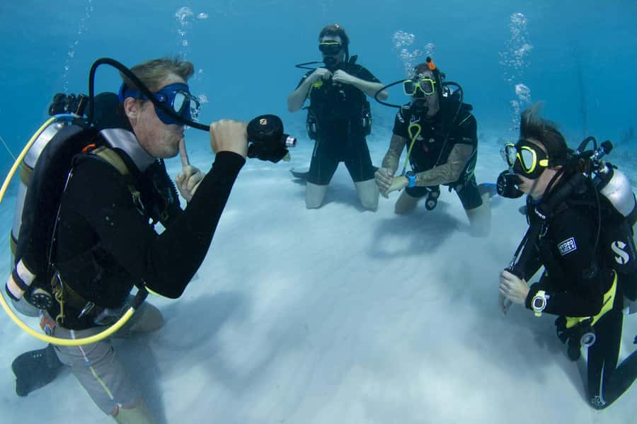 Hurghada: 3-Day PADI Open Water Diving Course - What you’ll actually see: reefs and marine life expectations