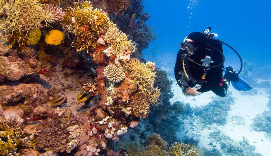 Hurghada: 3-Day PADI Open Water Diving Course - Price and extra costs: how the $412 can change in the real world