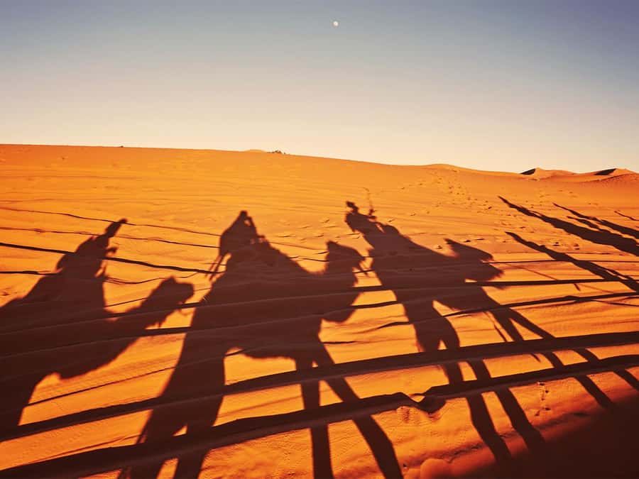 Hurghada: 6-Hour Jeep Desert Safari, Dinner, and Show - Pickup From Hurghada: The Part That Can Make or Break Your Day