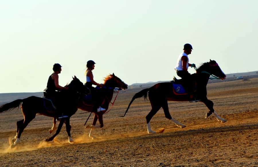 Hurghada: Arabian Desert and Sea Horseback Adventure - Hotel Pickup to Stables: Timing That Actually Matters
