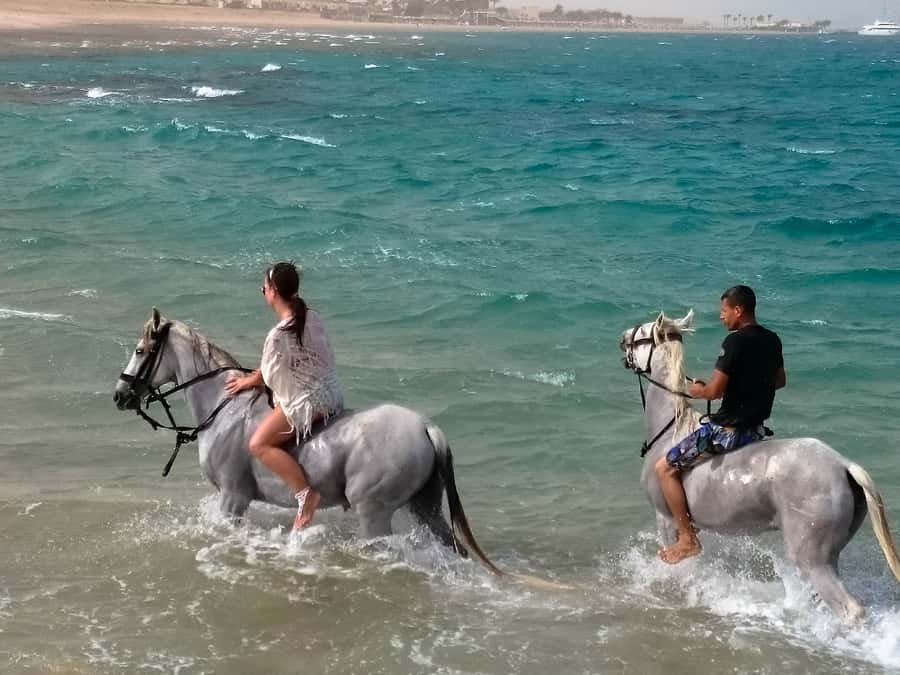 Hurghada: Arabian Desert and Sea Horseback Adventure - The Route: Desert Trails, Coastal Photos, and Sea-Edge Moments
