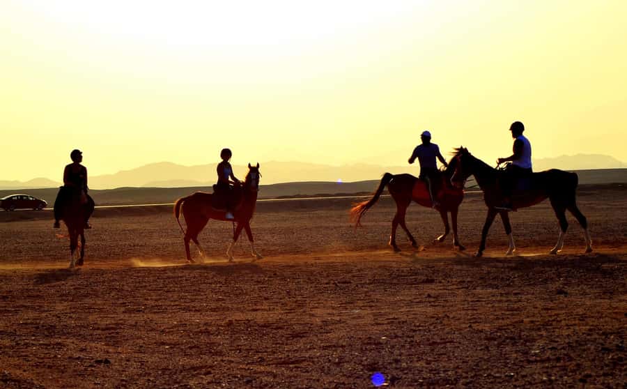 Hurghada: Arabian Desert and Sea Horseback Adventure - What to Bring (So the Ride Feels Easy)