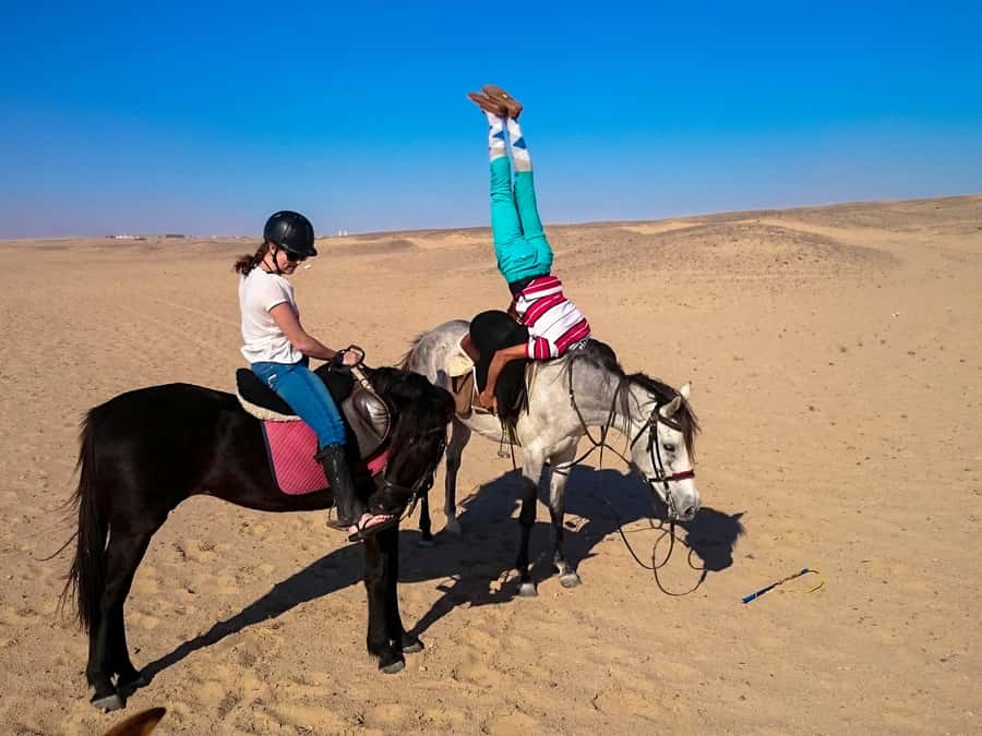 Hurghada: Arabian Desert and Sea Horseback Adventure - Who This Is Best For (And Who Should Skip It)