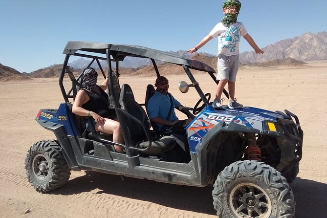 Hurghada: ATV Quad Safari, Camel Ride & Bedouin Village Tour - Camel Ride and the terrarium: Desert animals, up close in a controlled setting