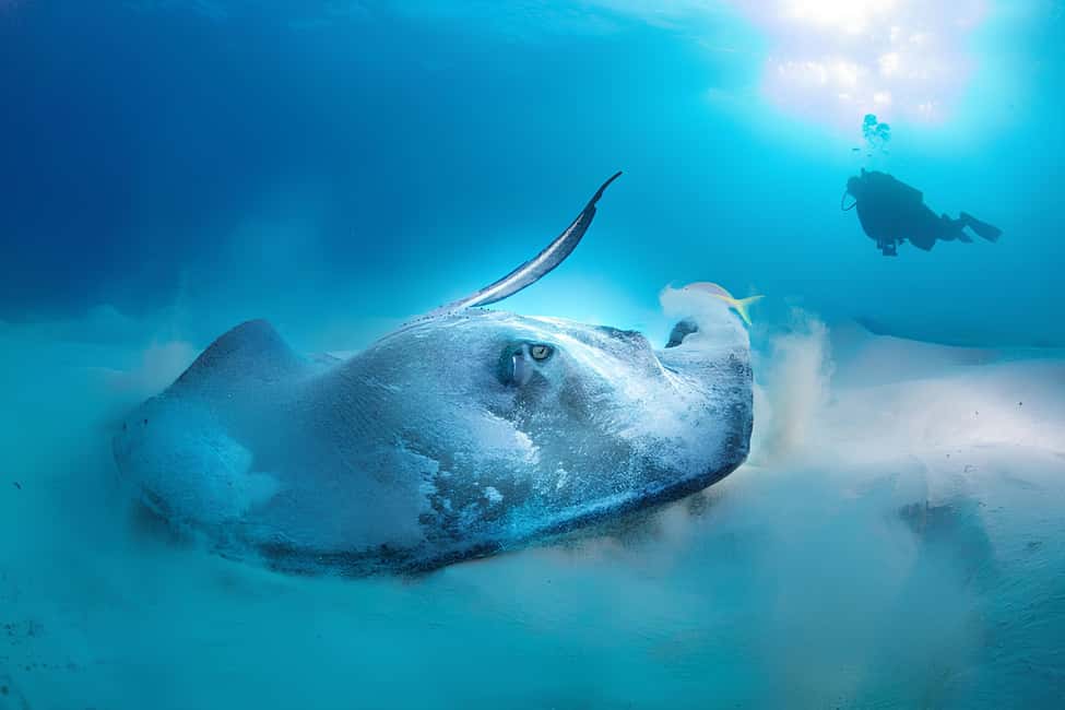 Hurghada: Beginners Scuba Diving Full-Day Boat Trip & Lunch - What’s Included (and What You’ll Pay Extra For)