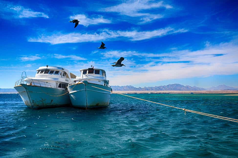 Hurghada: Beginners Scuba Diving Full-Day Boat Trip & Lunch - Practical Tips That Make the Day Go Smoother