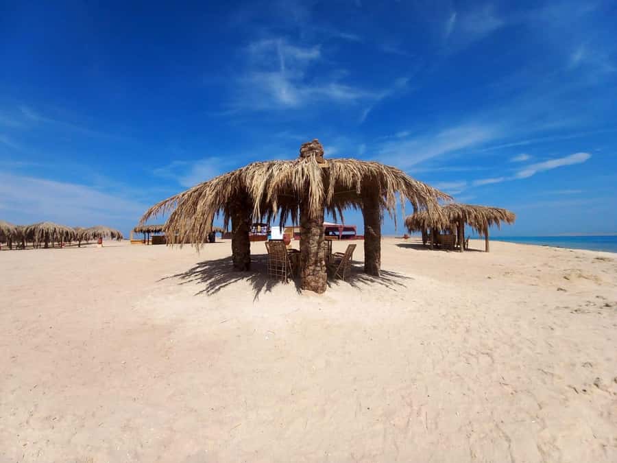Hurghada: Boat trip to Magawish island with Multi Options - Hurghada Pickup and the Boat-Ride Rhythm