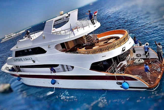 Hurghada Boat Trip to See Dolphins With Snorkeling and Lunch - Getting to the dock smoothly from your Hurghada hotel