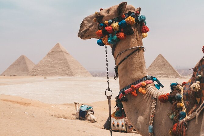 Hurghada: Cairo and Giza Highlights by mini Van with BBQ Lunch - Road-Time Reality: Why “One Day” Can Mean a Very Long Day