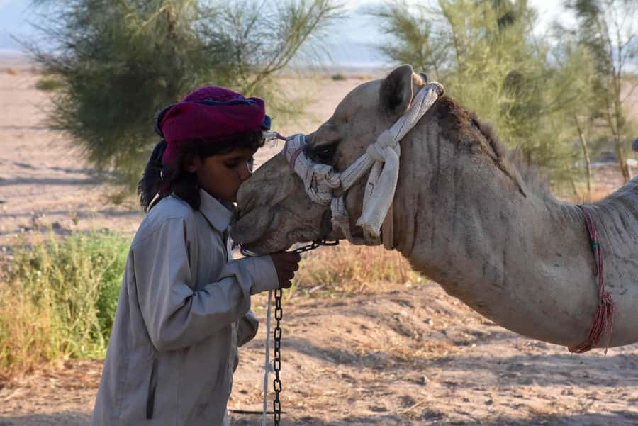 Hurghada: Camel Ride & horse ride and Off-Road Jeep Tour - Key points before you go