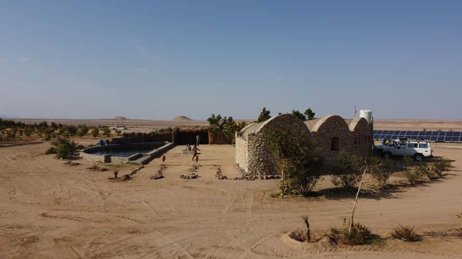 Hurghada: Camel Ride & horse ride and Off-Road Jeep Tour - Camel and horse riding in Hurghada: what you’re really buying