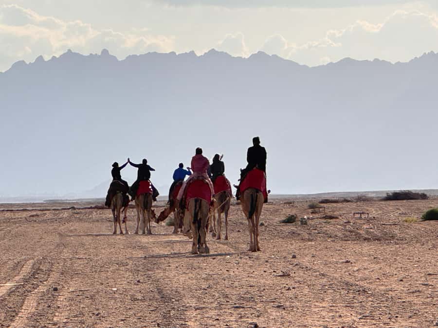 Hurghada: Camel Ride & horse ride and Off-Road Jeep Tour - One hour on horseback in the desert valleys