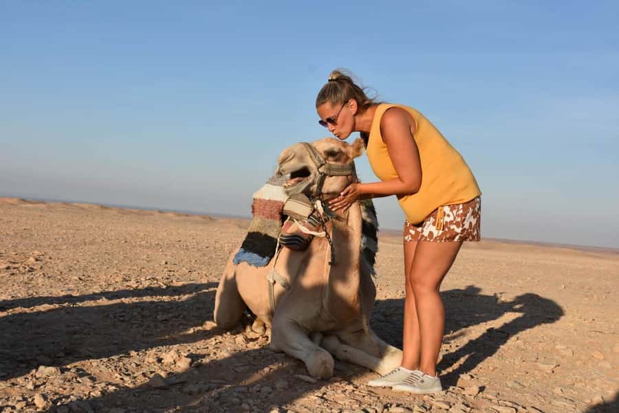 Hurghada: Camel Ride & horse ride and Off-Road Jeep Tour - Hotel pickup and the desert warm-up stop that saves you stress