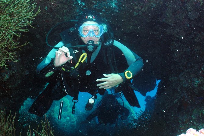 Hurghada Daily Scuba Dive Trip - Two underwater sessions: how the plan changes for beginners vs certified