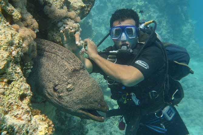 Hurghada Daily Scuba Dive Trip - Choosing the sites: weather, experience, and availability