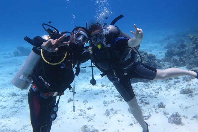 Hurghada Daily Scuba Dive Trip - Where pickup works (and where it might not)