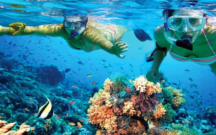 Hurghada: Day Snorkeling with Dolphins - On the water: boat comfort, crew, and how instruction actually helps