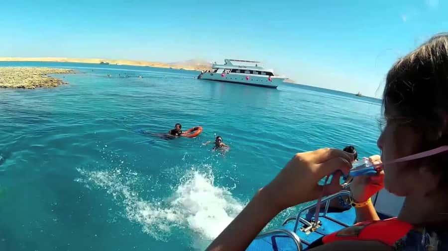 Hurghada: Day Snorkeling with Dolphins - Snorkeling the coral stops: fish you can actually spot