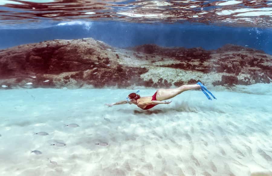 Hurghada: Day Snorkeling with Dolphins - Photo and video packages: how to decide fast