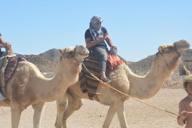 Hurghada Desert Adventure Jeep, Buggy & Quad with Dinner & Show - Jeep safari car, plus a 15-minute buggy ride: lots of motion, short duration