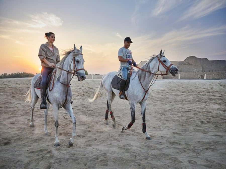 Hurghada: Desert and Sea Horseback Riding Tour with Transfer - Quick Hits: What Makes This Ride Memorable