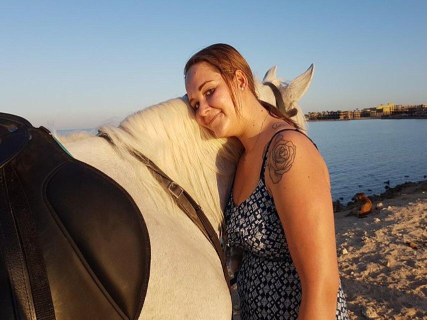 Hurghada: Desert and Sea Horseback Riding Tour with Transfer - Price and Value: Is $50 Worth It?