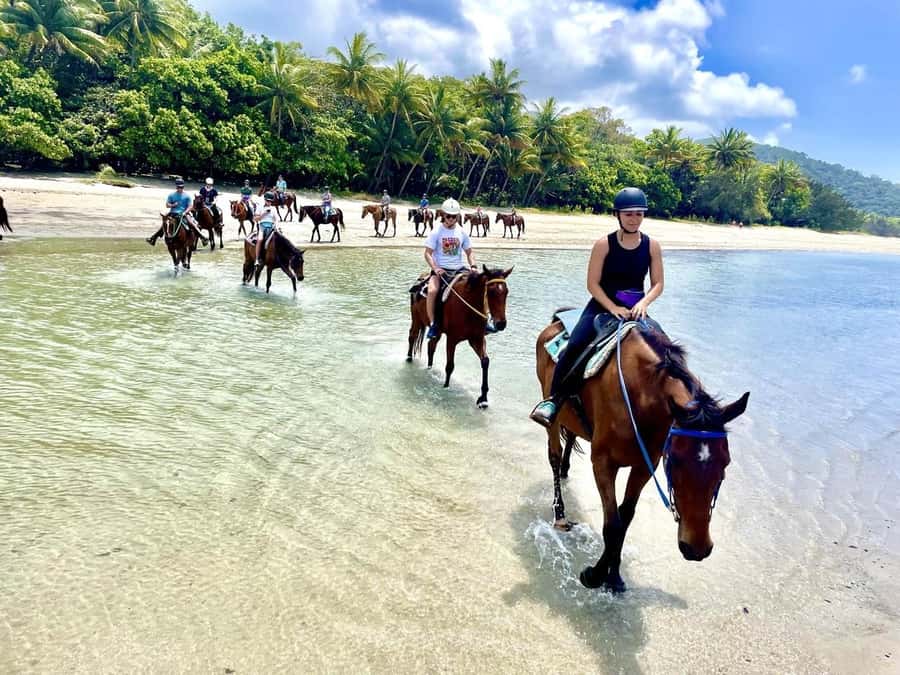 Hurghada: Desert and Sea Horseback Riding Tour with Transfer - How the Hurghada Pickup Sets the Tone for the Day