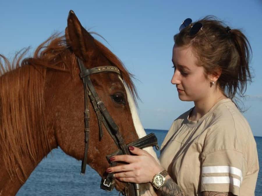 Hurghada: Desert and Sea Horseback Riding Tour with Transfer - What Two Hours Really Feels Like on Horseback