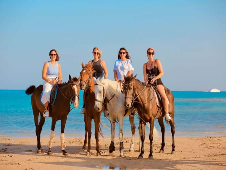 Hurghada: Desert and Sea Horseback Riding Tour with Transfer - The Red Sea Ride: When You Actually Get In