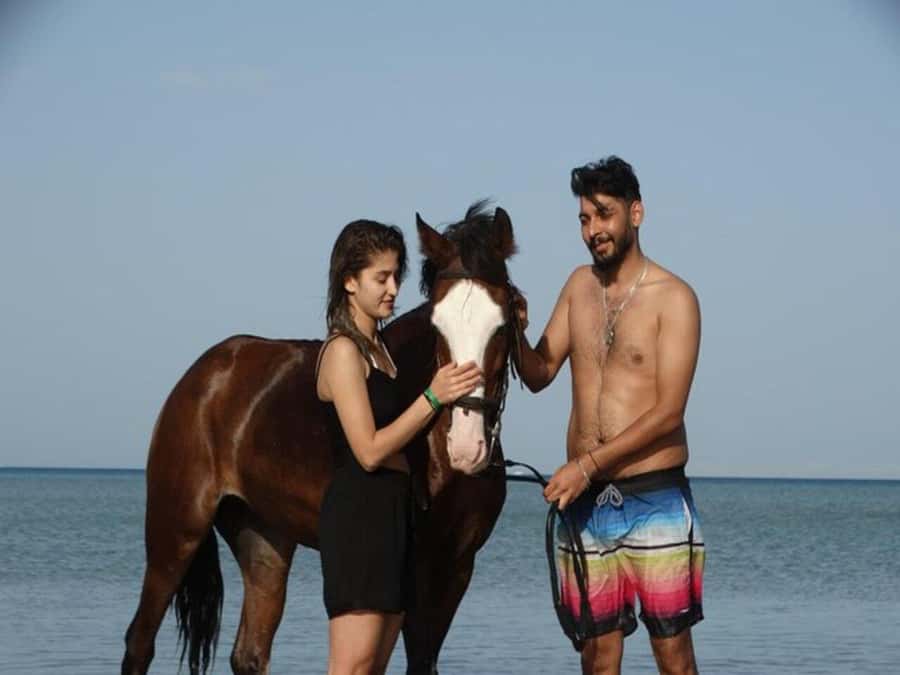 Hurghada: Desert and Sea Horseback Riding Tour with Transfer - The Horses and Stable Time: More Than Just a Ride Ticket