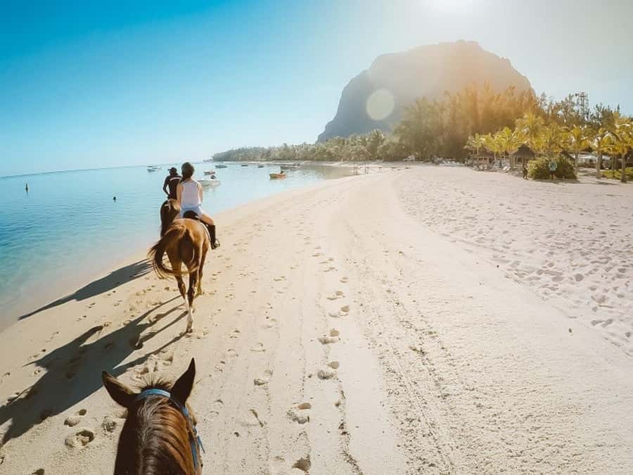 Hurghada: Desert and Sea Horseback Riding Tour with Transfer - Before You Ride: The Instructor Briefing and Helmet Moment