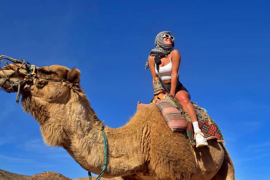 Hurghada: Desert Quad, Bedouin Village, and Camel Ride Tour - Bedouin village stop: camel ride timing and tea as the real payoff