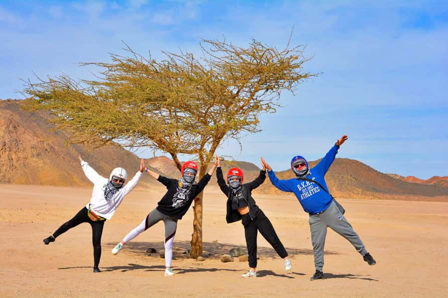 Hurghada: Desert Quad, Bedouin Village, and Camel Ride Tour - Who should book this Hurghada desert quad and Bedouin tour
