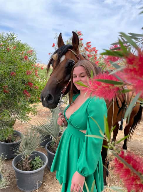 Hurghada: Desert & Sea Horse Riding with + 360° Photos - Key highlights worth planning around