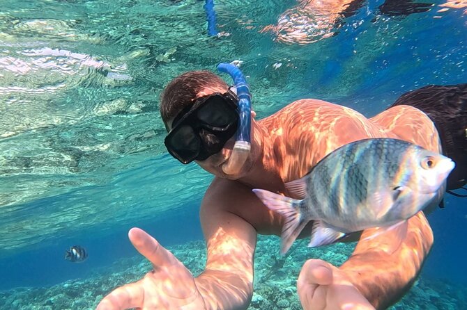 Hurghada Diving Adventure one Day with two Dives Boat Trip - The Core Plan: Two Underwater Sessions From the Boat