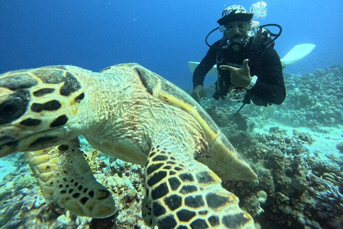 Hurghada Diving Adventure one Day with two Dives Boat Trip - What’s Included vs What Costs Extra (Budget Checklist)