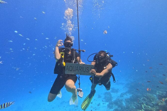 Hurghada Diving Adventure one Day with two Dives Boat Trip - Marine Life Expectations: What You Can Realistically Hope For