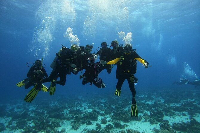 Hurghada Diving Adventure one Day with two Dives Boat Trip - Snorkeling Option: Doing the Same Day as Your Friends