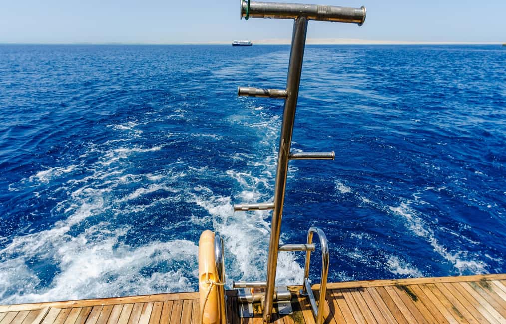 Hurghada: Dolphin & Coral Reef Snorkeling Tour with Lunch - Hurghada to the dolphin hotspots: what that day feels like