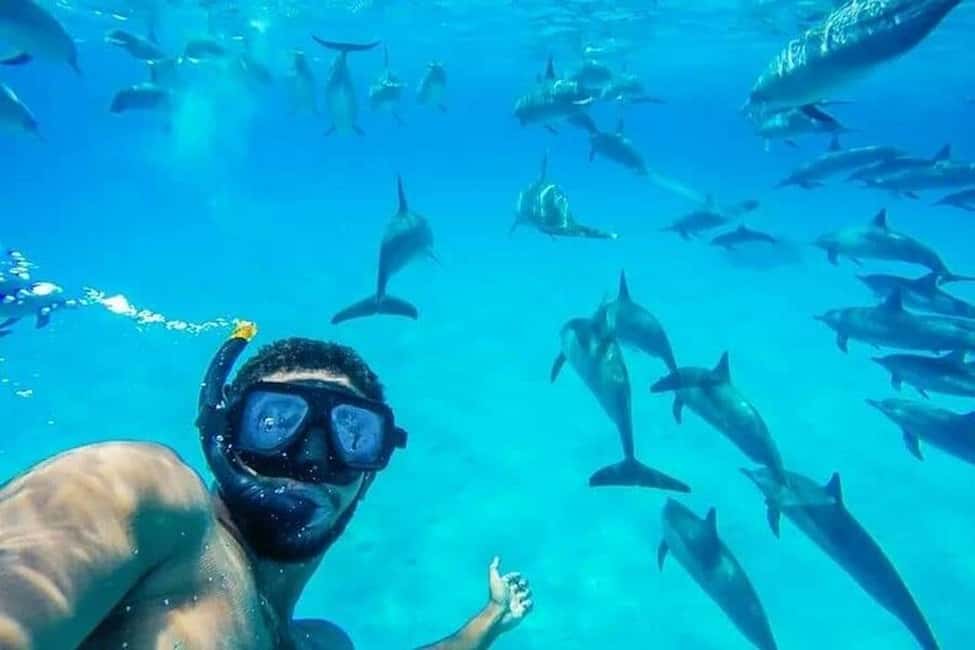 Hurghada: Dolphin & Coral Reef Snorkeling Tour with Lunch - Red Sea coral reefs: your two snorkeling stops, gear, and realistic expectations
