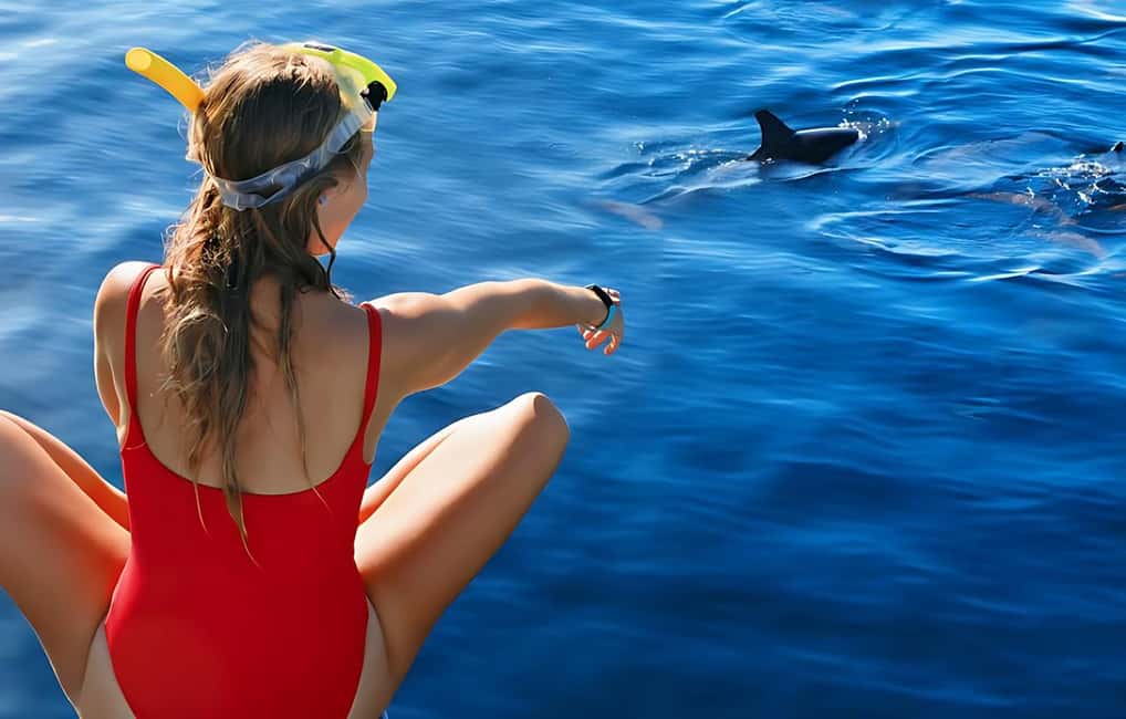 Hurghada: Dolphin Cruise with Snorkeling & Buffet Lunch - Two Snorkeling Stops on Coral Reefs: Gear, guidance, and what you’re really paying for