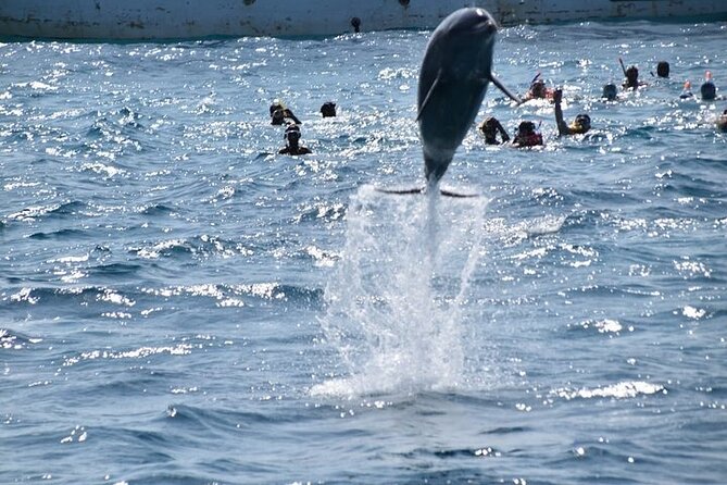 Hurghada Dolphin House: Full-Day Snorkeling & Boat Experience - Dolphin House day: why this Hurghada cruise is such good value