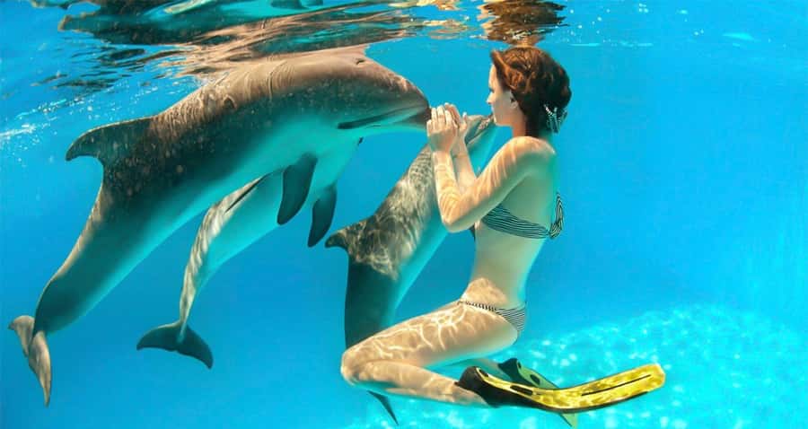 Hurghada: Dolphin watch Cruise with optional pickup - Snorkeling With Local Guides: Coral Reefs and Fish You Can Enjoy