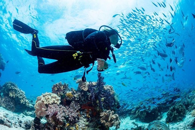 Hurghada: Full-Day Diving Tour with Lunch & Two Dive Sites - Lunch on board: why it’s included (and why you’ll care)
