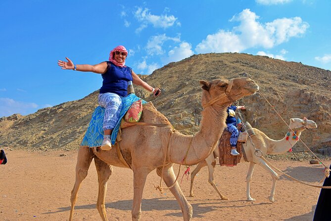Hurghada: Full Day Jeep, Quad Bike, Buggy and Bedouin Dinner - Key highlights worth your attention