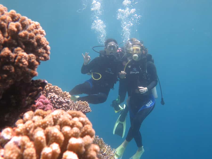 Hurghada: Full-Day Scuba Diving Tour with 2 Sites and Lunch - Getting to the water fast: pickup range and realistic timing