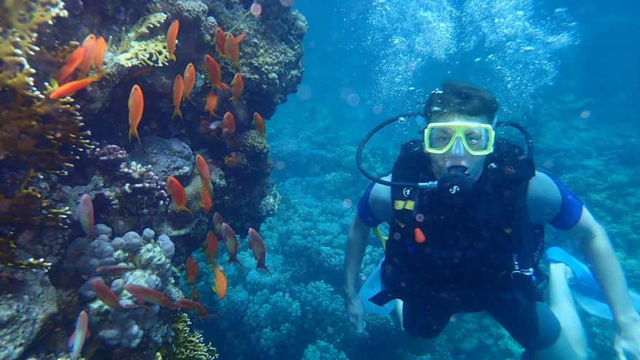 Hurghada: Full-Day Scuba Diving Tour with 2 Sites and Lunch - Photos, videos, and why good instructors sell confidence
