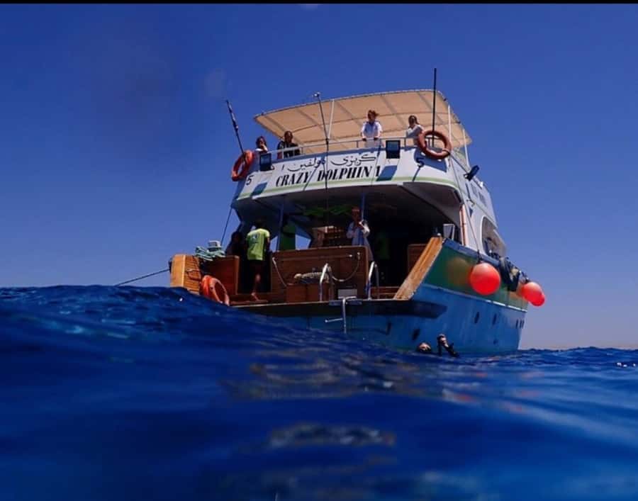 Hurghada: Full-Day Scuba Diving Tour with 2 Sites and Lunch - Price and value: $70 plus fees, and what’s included