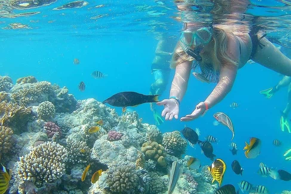 Hurghada: Full-Day Snorkeling Tour in Sharm El Naga w/Lunch - Beach time plus lunch with bay views